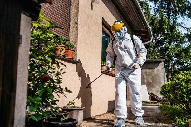 Best Pest Control Near Me  in Longview, TX