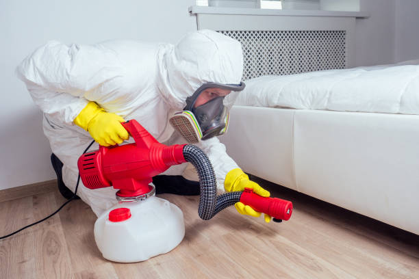 Best Pest Inspection Near Me  in Longview, TX