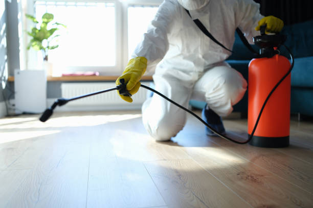 Pest Control Cost in Longview, TX
